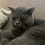 Esma