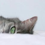 Zeynep