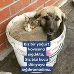 Fatmagül