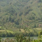 Şeref