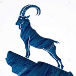 Kadir