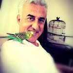 Soner