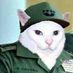 Bengi