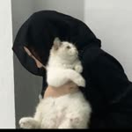 Fatma
