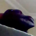 Orkun