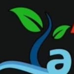 Alper