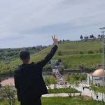 Şahin