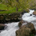 Özkan