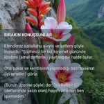 Betül
