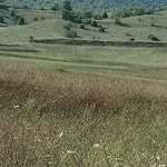 Uğur