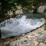Turgay