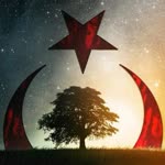 Şahin
