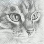 Serkan
