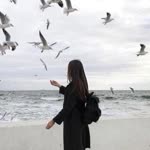 Derya