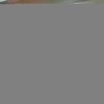 Şahin