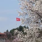 Sinan