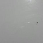 Aynur