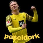 Doruk