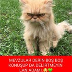 Melahat