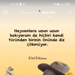 Maşallah