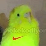 Savaş