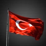 Tamer