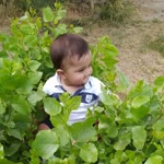 İbrahim