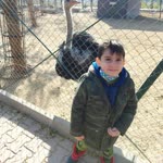 Neslihan