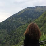 Nensi
