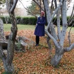 Emine