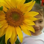 Nermin
