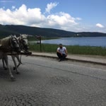 Suat