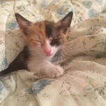 Esma