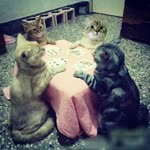 Profil fotoğrafı