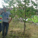 İbrahim