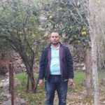 Doğan