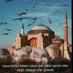 Havva