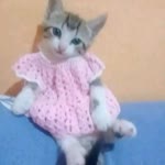 Mon