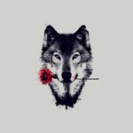 Furkan
