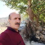 Haydar