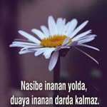 Deniz