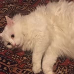 Arzu
