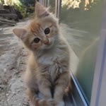 Zeynep