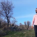 Serdar