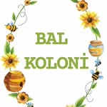 Kasım