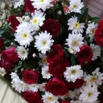 Aysun