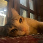 Esad