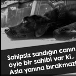 Zeynep