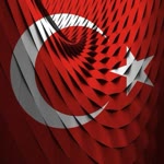 Nedim