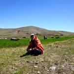 Selçuk